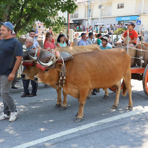 Feira Franca